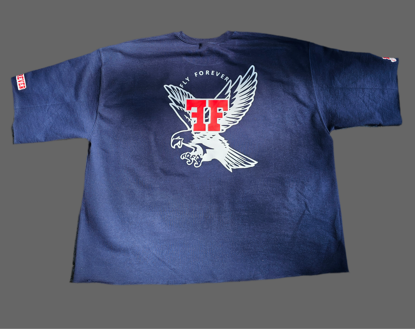 Fly Forever